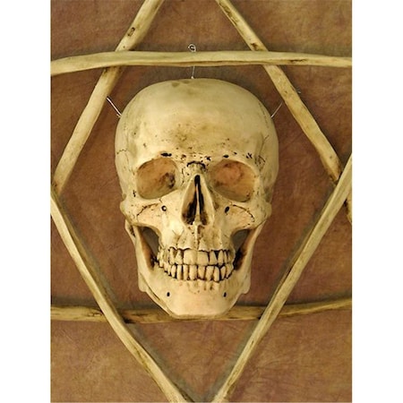 Fuego Wall Sconce, Life-Size Skull in Hexagram Bone Frame FU2115517